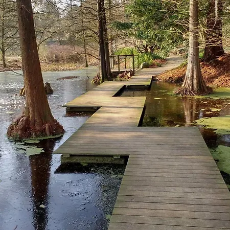 Bionatursuite Kortum1745, Hbf, Bermuda3eck, Musikforum, Starlight Express, Museum Apartament *